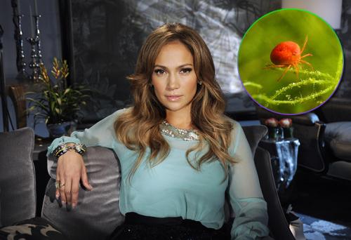 Вещи, которые названы в честь знаменитостей