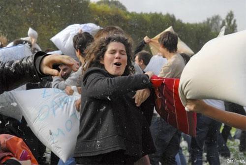 Студенты  устроили мягкую бойню