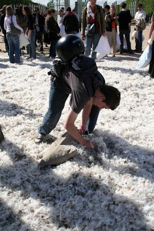 Студенты  устроили мягкую бойню