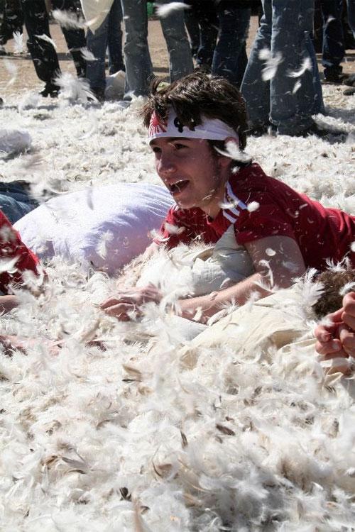 Студенты  устроили мягкую бойню