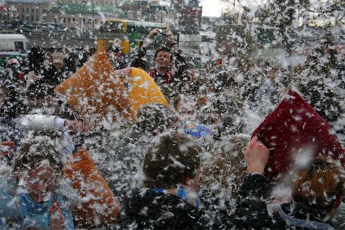 Студенты  устроили мягкую бойню