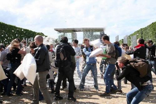 Студенты  устроили мягкую бойню