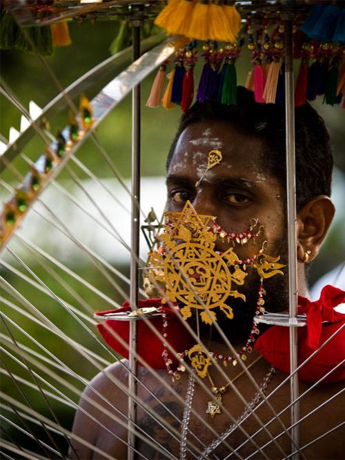 Шокирующая Азия: праздник Тайпусам