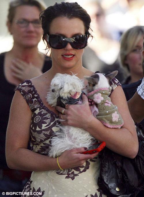 Бритни Спирс не смогла дойти до зала суда