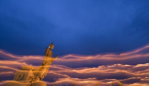 Лучшие фотографии 2008 по версии Spiegel