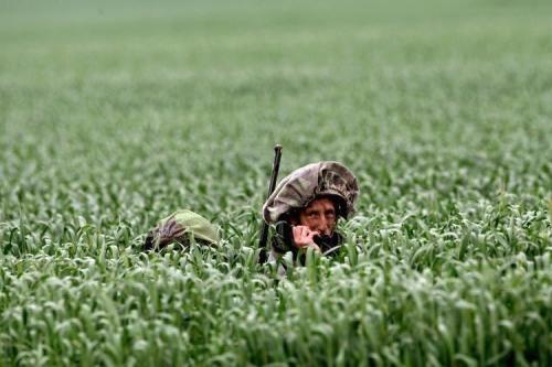 Лучшие фотографии 2008 по версии Spiegel