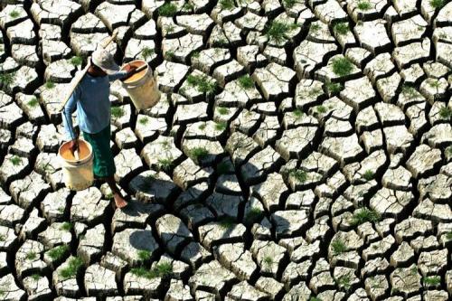 Лучшие фотографии 2008 по версии Spiegel