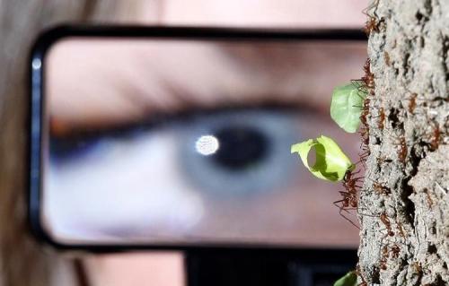 Лучшие фотографии 2008 по версии Spiegel