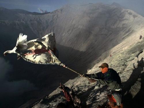 Лучшие фотографии 2008 по версии Spiegel