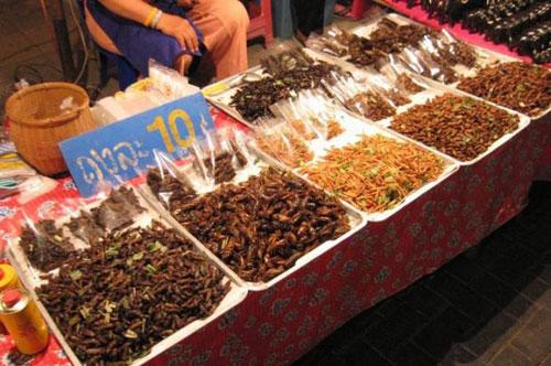 Самые страшные деликатесы разных стран мира