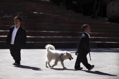 Обнаружена страна лилипутов