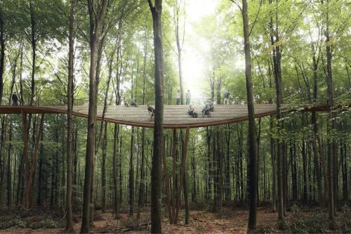 В Дании появится возможность увидеть лес с высоты, прогуливаясь по спиральной тропе