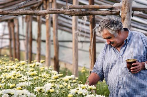 Президент Уругвая живет как обычный фермер