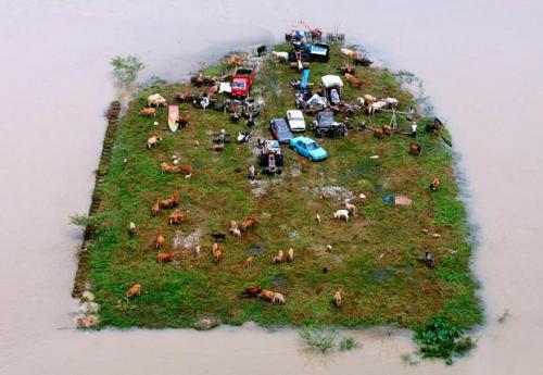 Стихийные бедствия в  2009 году