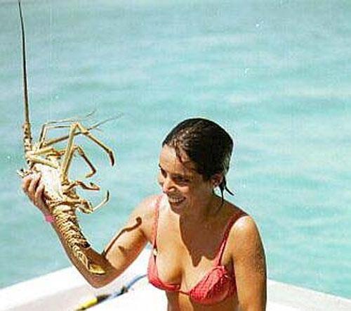 Рейтинг запретных деликатесов