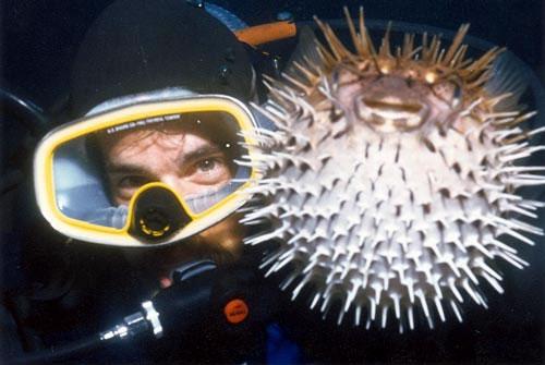 Рейтинг запретных деликатесов