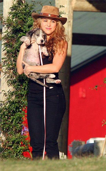 Где и как звезды провели рождественские каникулы