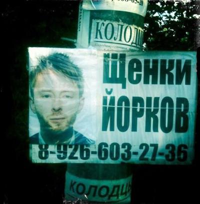 Как западных звезд используют в рекламе в России без их ведома