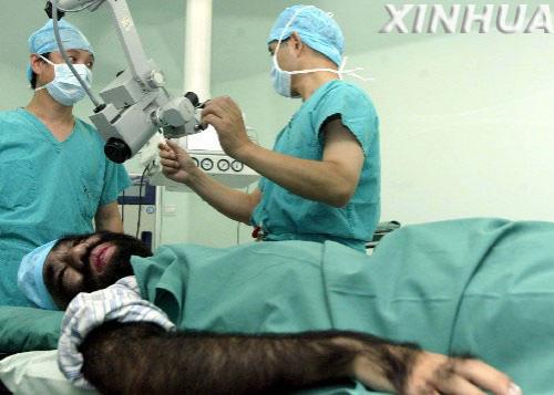 Генетические мутанты: люди-волки, люди-львы, люди-собаки…