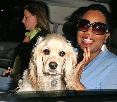 Самые богатые животные в мире