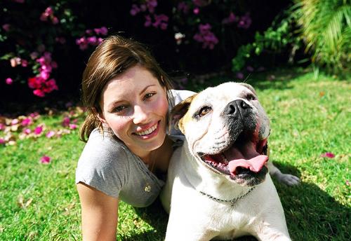 Знаменитости со своими собаками