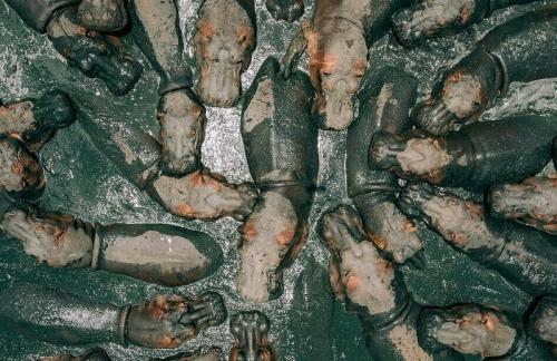 Участники конкурса дрон-фотографии снимают чудеса с небес