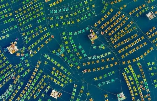 Участники конкурса дрон-фотографии снимают чудеса с небес