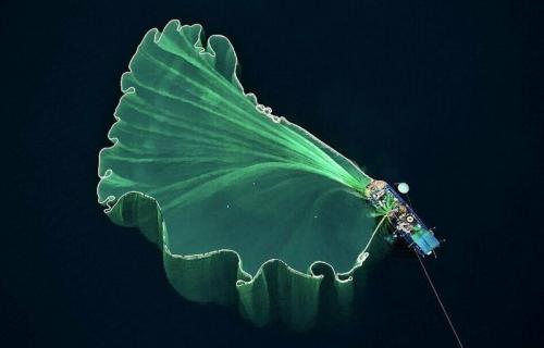 Участники конкурса дрон-фотографии снимают чудеса с небес