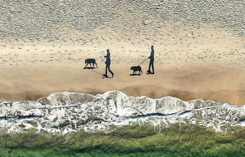 Участники конкурса дрон-фотографии снимают чудеса с небес