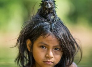 50 лучших снимков года по версии журнала National Geographic