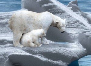 Факты, которые звучат как полная ерунда, но являются чистой правдой