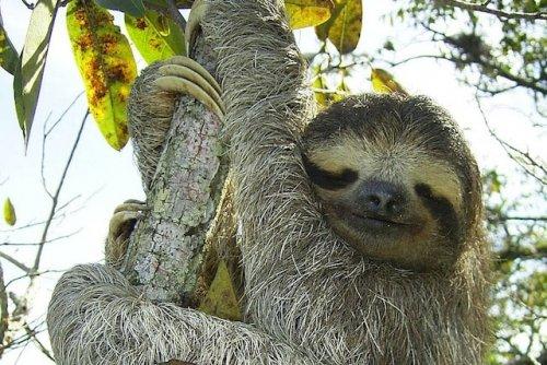 Факты, которые звучат как полная ерунда, но являются чистой правдой