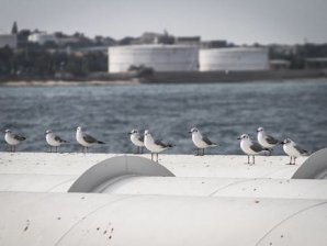 Лидеры по экспорту "черного золота" в мире