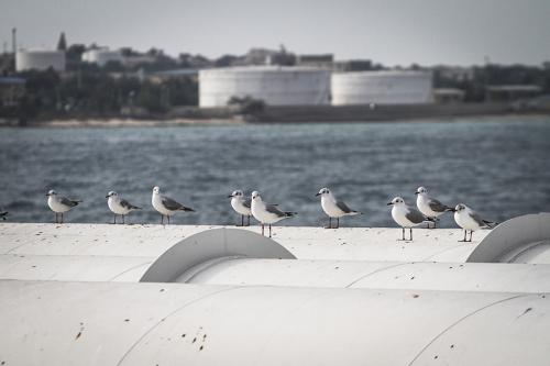 Лидеры по экспорту "черного золота" в мире