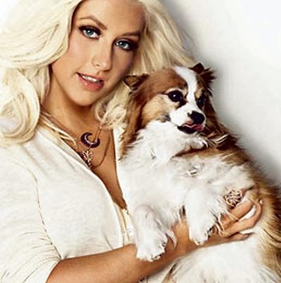 Топ-30 самых нелепых ошибок журнальных дизайнеров