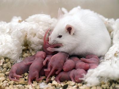 Топ-27 фантастических идей, ставших реальностью в 2012 году