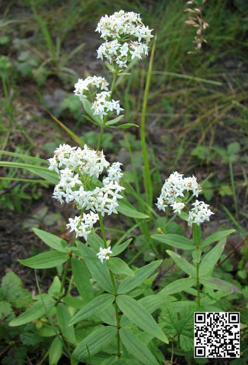 Топ-27 фантастических идей, ставших реальностью в 2012 году