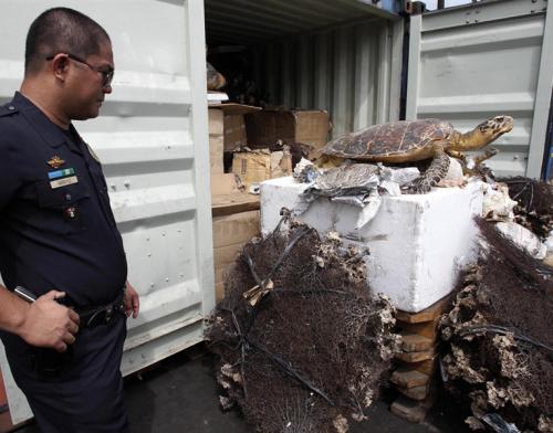 Экзотические животные, изъятые при попытке контрабанды