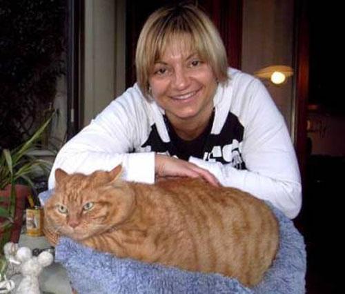 Животные-гиганты: не верь глазам своим!