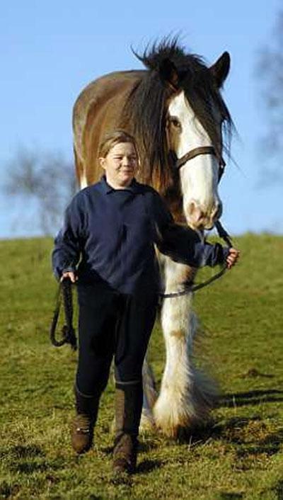 Животные-гиганты: не верь глазам своим!