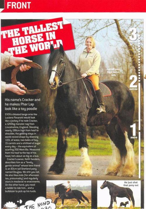 Животные-гиганты: не верь глазам своим!