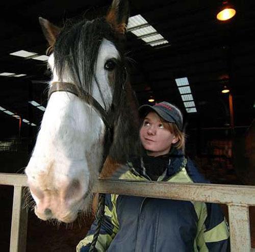 Животные-гиганты: не верь глазам своим!