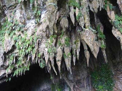 Топ-10 самых впечатляющих пещер мира, открытых для экскурсий