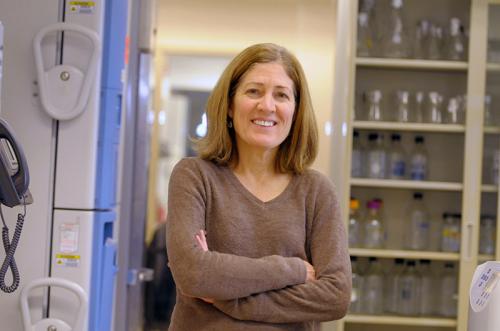 Самые гениальные женщины в истории