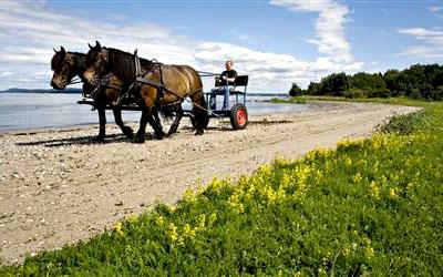 Самые комфортабельные тюрьмы мира