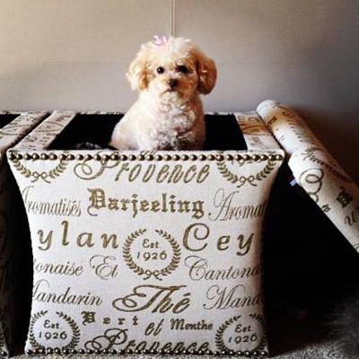 Последние фото звезд из Твиттеров