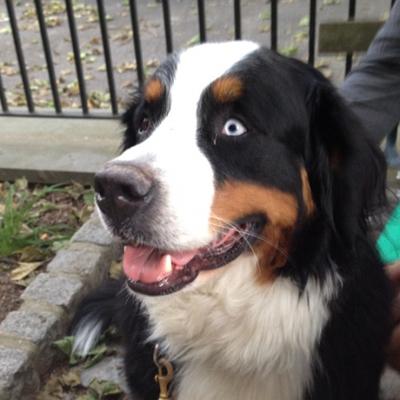 Последние фото звезд из Твиттеров