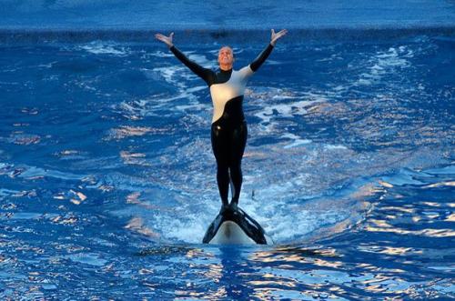 Наиболее известные случаи нападения животных на людей