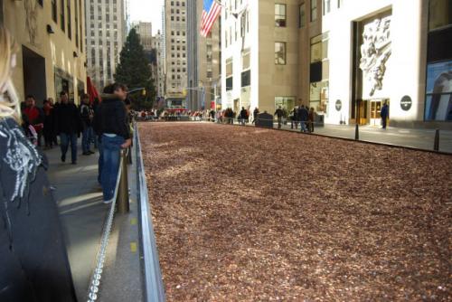 В Нью-Йорке появилась денежная улица