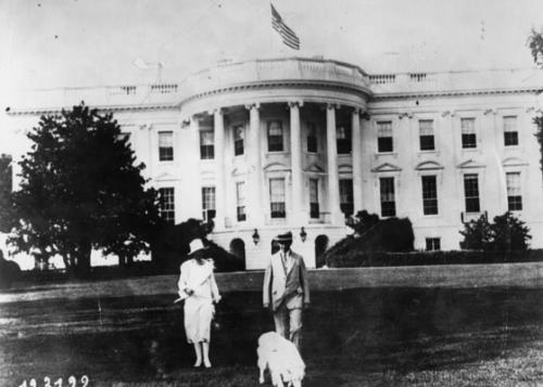 «Первую  собаку Америки»  представили журналистам